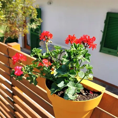 度假居 Casa Fiorita