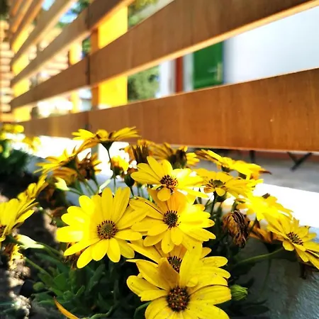 Hébergement de vacances Casa Fiorita *