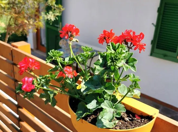 Hébergement de vacances Casa Fiorita