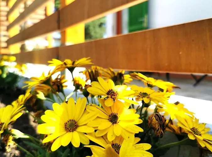 Casa vacanze Casa Fiorita *